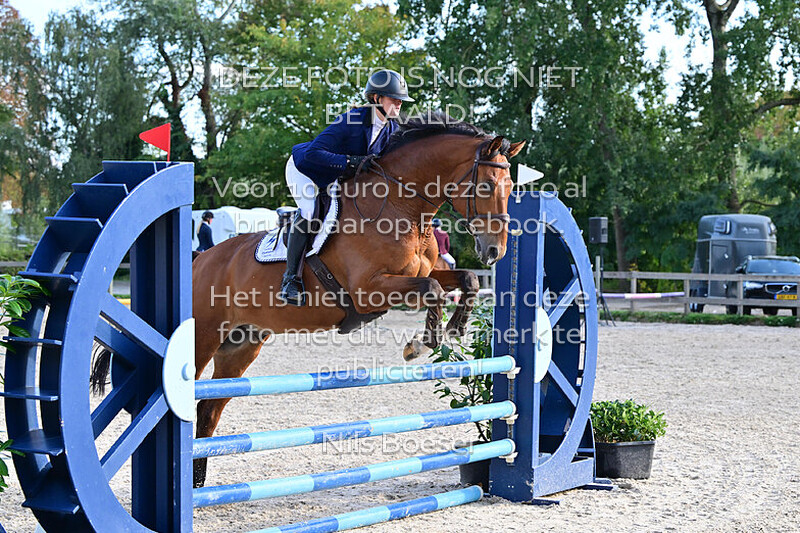 17 Paarden 100 cm - rijstijl zonder barrage