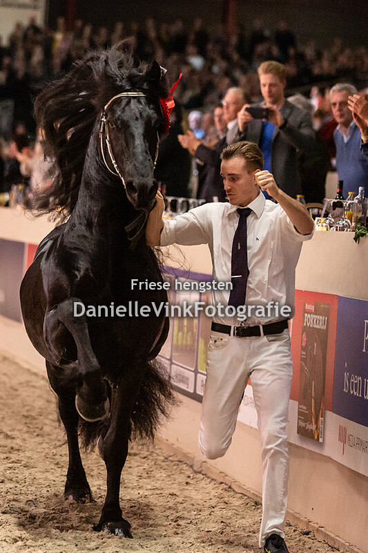 Hengstenkeuring 2020 Nane 492