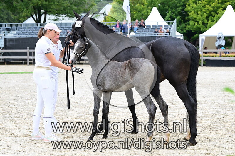 U Make Me Proud From KVB - 125