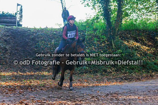 SGW Bathmen Paard L Pony M 03-11-24