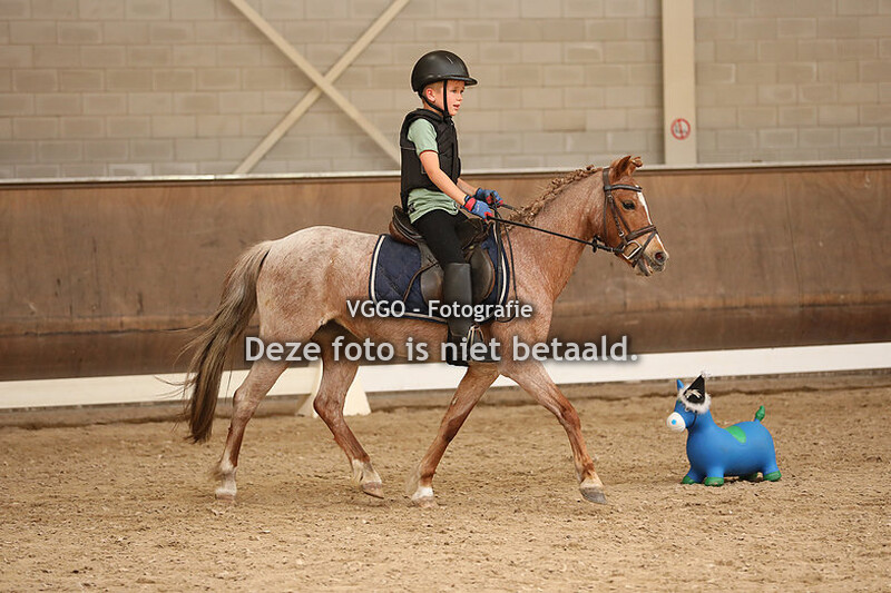 Dressuur & springen 15.00-17.30 uur