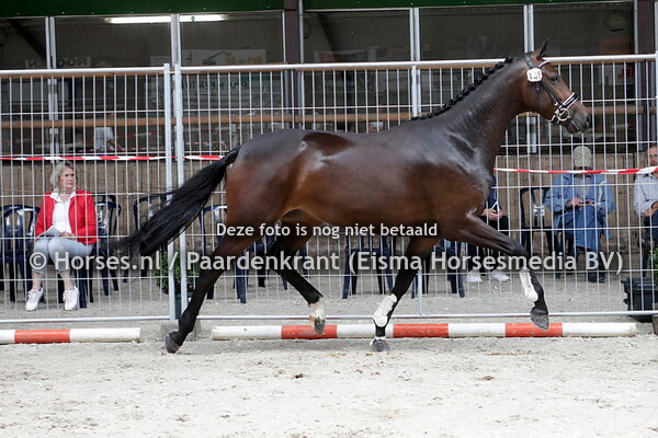 138 Lilina (De Niro x Filinda v. Zhivago)