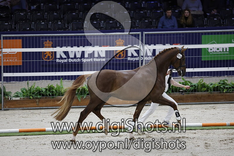 Rossini v. For Romance - 359