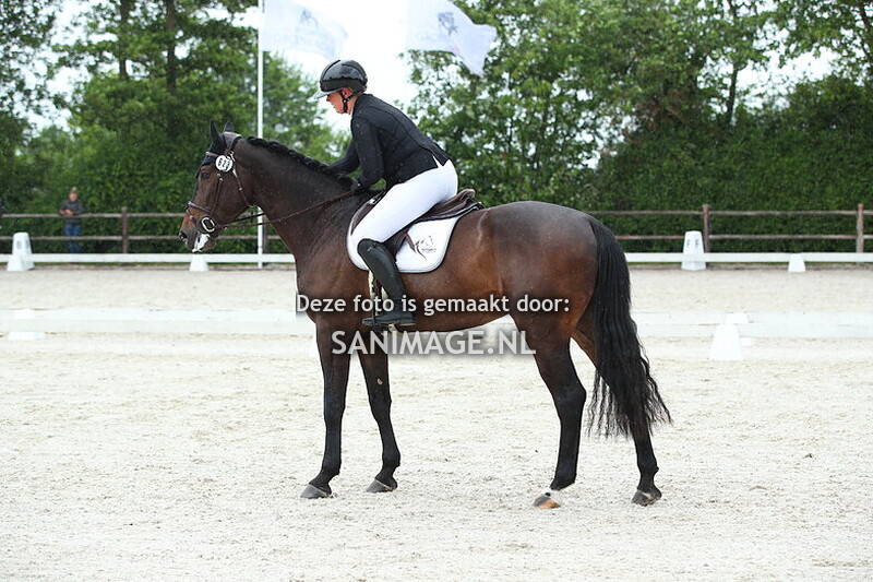 Jumping Tolboom 27-05-2025 Dressuur Ring 1 15.30-17.00 uur
