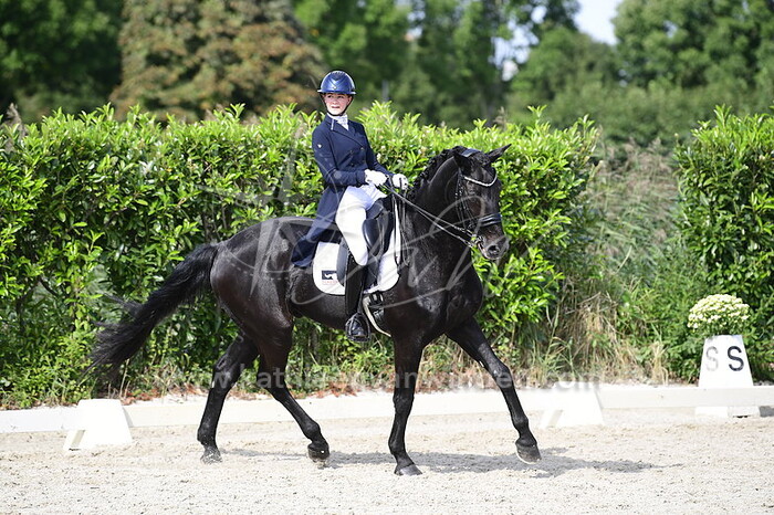 Floor Mollema - Zandokan SMH