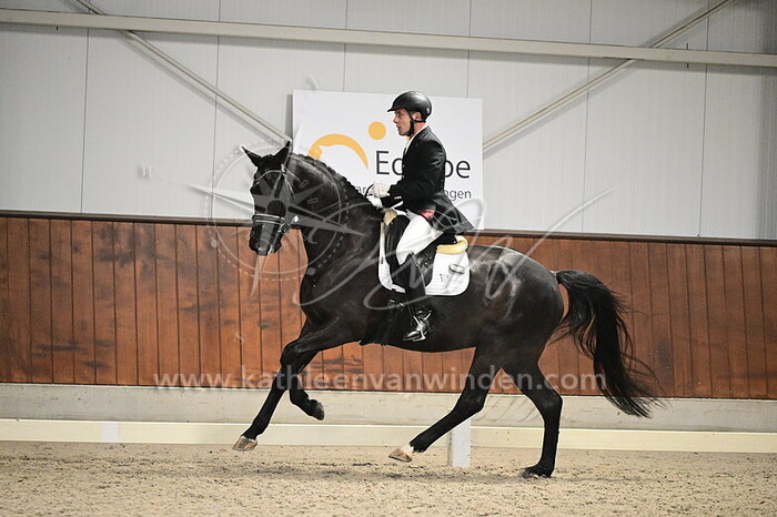 Carlos Blay Insa - Uriel WH