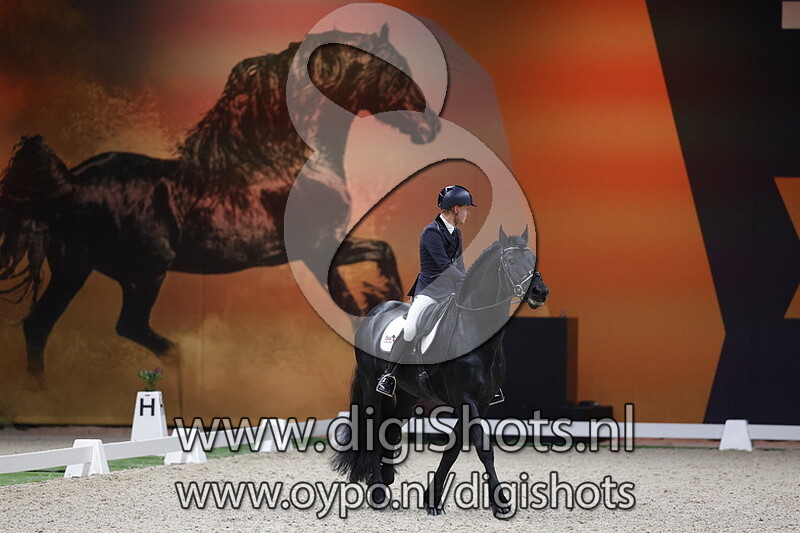 Stal de Mersken Jesse