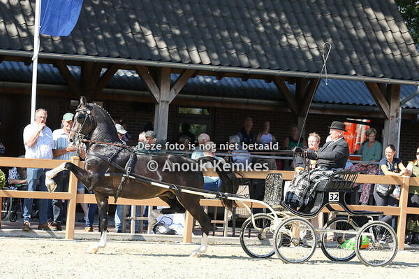 Westfort Hengstencompetitie