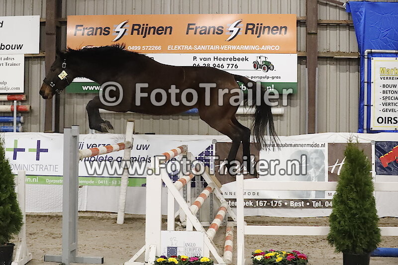 979 - Jaguar Special