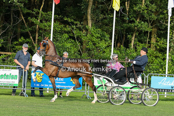 Nederlands Kampioenschap TP  Fokmerries 
