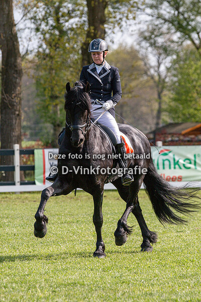 20. Bestgaand rijpaard 5