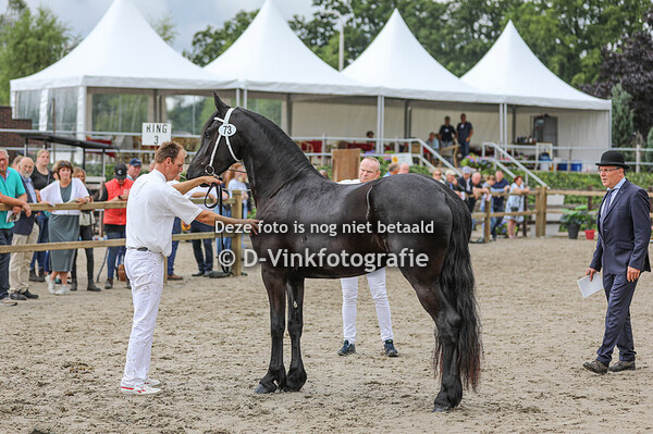 Rubriek 6B premiekeuring 3 jarigen