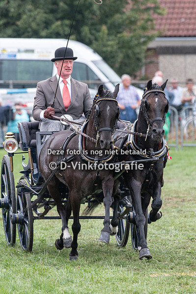 Hackney en tuigpaard dubbelspan