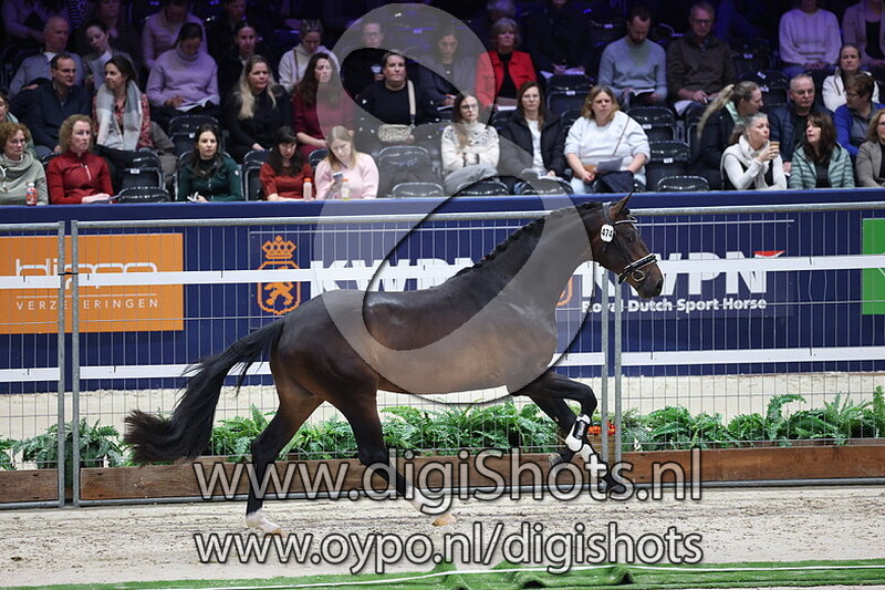 Solarde van de Herkenhoek v. Next Pitch