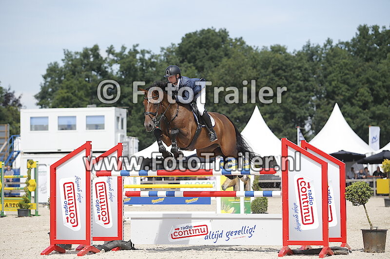 Dennis van den Brink