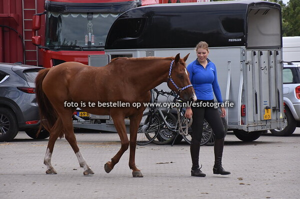 23-8-2025 Oefencross Stichting SGW Vinkega gele route
