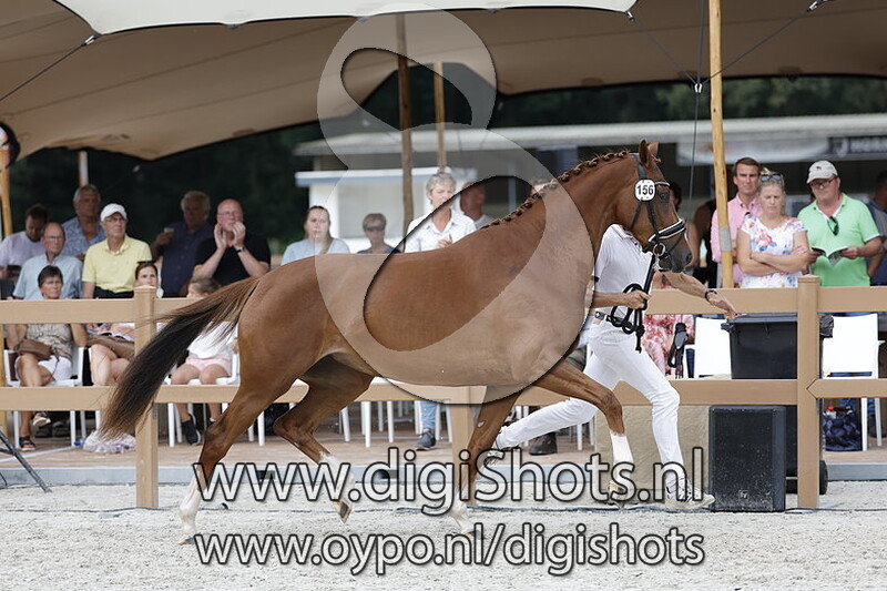 Provini VDP v. King Karim