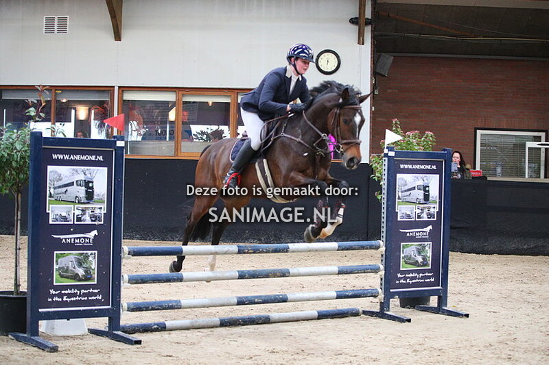 Zilfia's Hoeve Springen Paarden 03-02-2024 80 cm