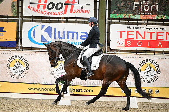 Tamara van der Stelt - Regina Lotte D'Or