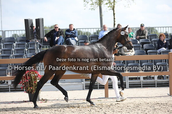 103 Royal Highness D.Obertje