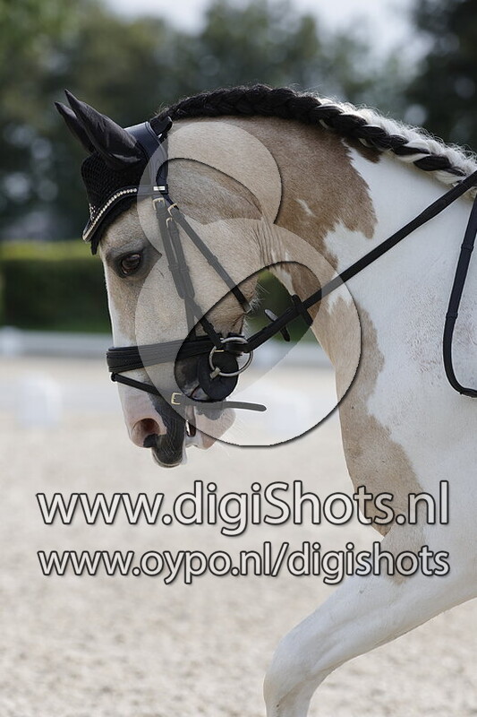 Ring 6 Klasse B cat DE