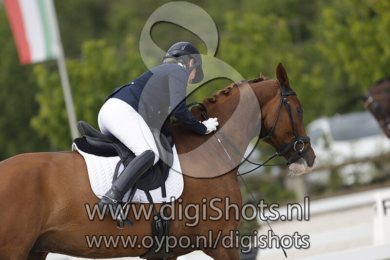 Wolfshoeve's Sammy de Luxe WH