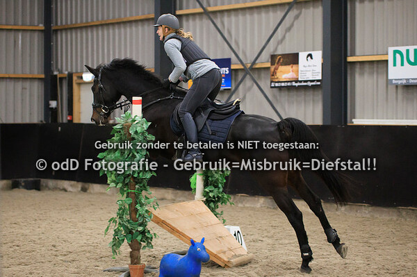 Groep 6 14:45 Vera Grevelink