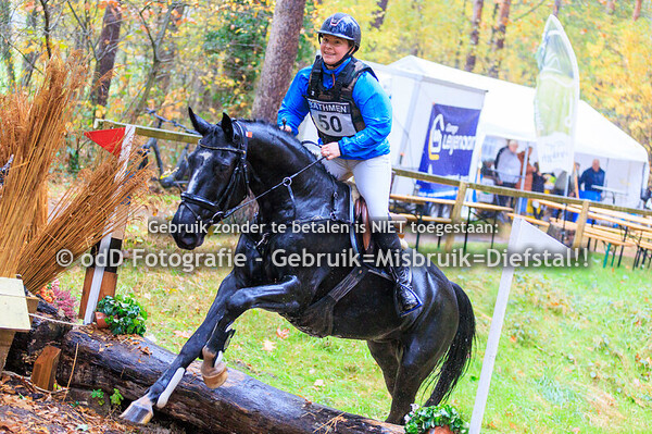 SGW Bathmen paard B-zd 01-11-25