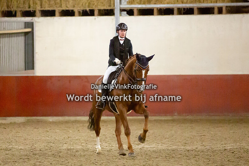 11. Klasse Z1 paard