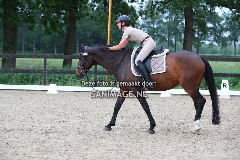 Groenewoude Dressuur 26-05-2024 17.30 uur Z2/ZZL/Z1