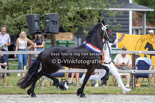 Rubriek 08 premiekeuring van 4 tot 6 jarigen