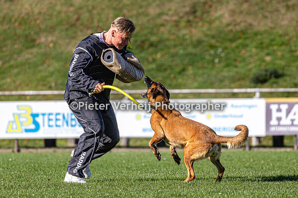 Jan Groot Boerle with Debbi Working Malinois