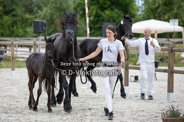 27. Do-Re-Mi van Zomerstaete