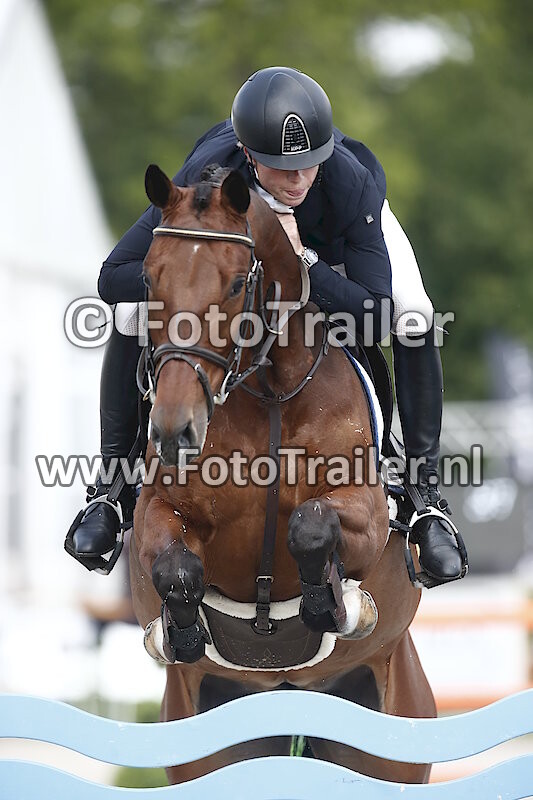 Dennis van den Brink