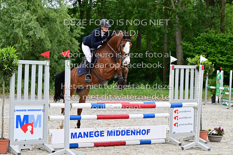 19 Rijstijl paarden 1.00 cm MB-ZB