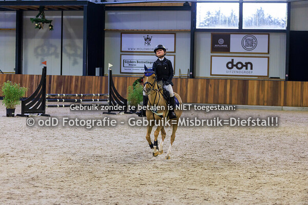 Green Valley Kerst Trophy Pony's 70cm 22-12-24