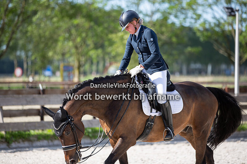 Anke van Dijk - Cheval