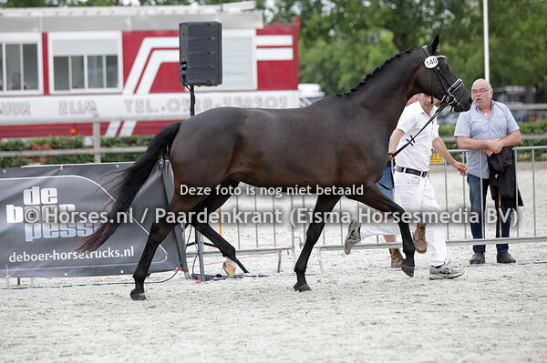 140 Kristy (Fairytale x Black Lady v. Dutch Dormello)