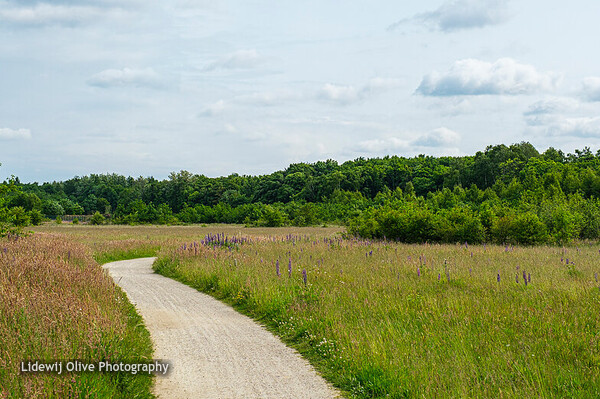 Enschede - Vliegveld Twente