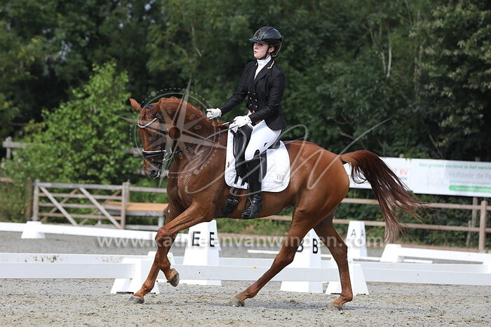 Melissa van Noordennen