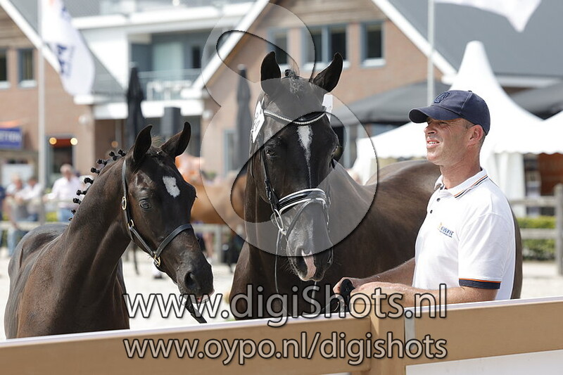 The Next One v. Next Romancier