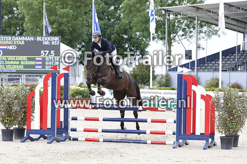 ester dammam blekkink