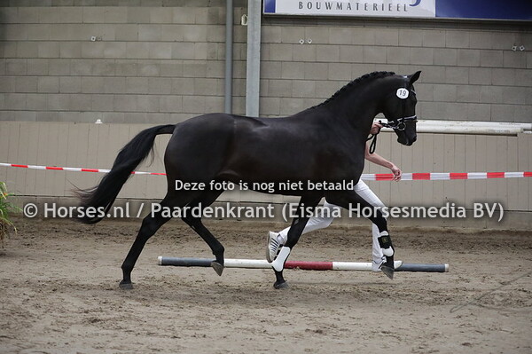 19 Mesa Verde Il (Dream Boy x Winona v. Gribaldi)