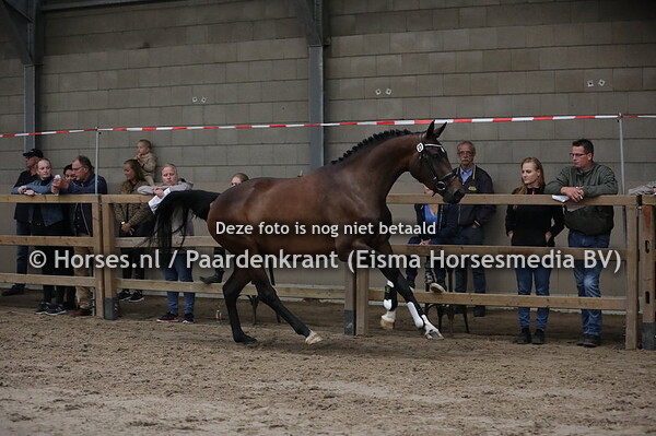 27 Mendy Camelot (Glock's Tot jr x Here I Am v. Jazz)