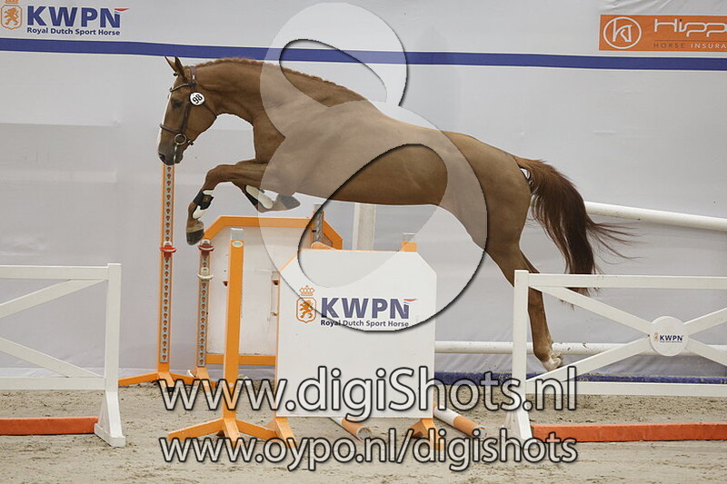 Renoir J.p.p. v. Lambada Shake Ag - 098