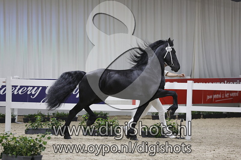 Fedde van de Waterhoeve v. Omer 493