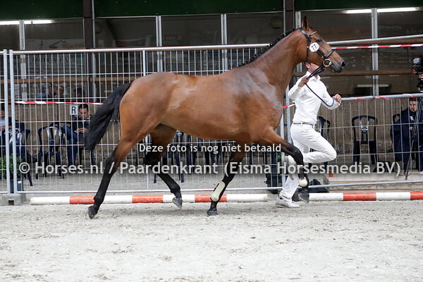 77 Mambo Nr 5 (Franklin x Evita v. Spielberg)