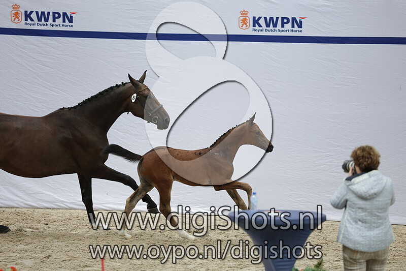 Viva la Vie TK v. Ruzgar VII S