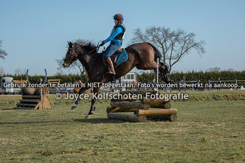 BB Paard (zonder dressuur)