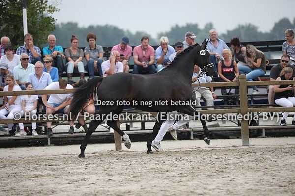 169 Lieke S (Lord Leatherdale x Pidanka v. Kennedy)  (1)